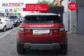 Land Rover Range Rover Evoque Land Rover RR Evoque 2.0 TD4 150 CV 5p. HSE 110KW Rosso - thumbnail 7