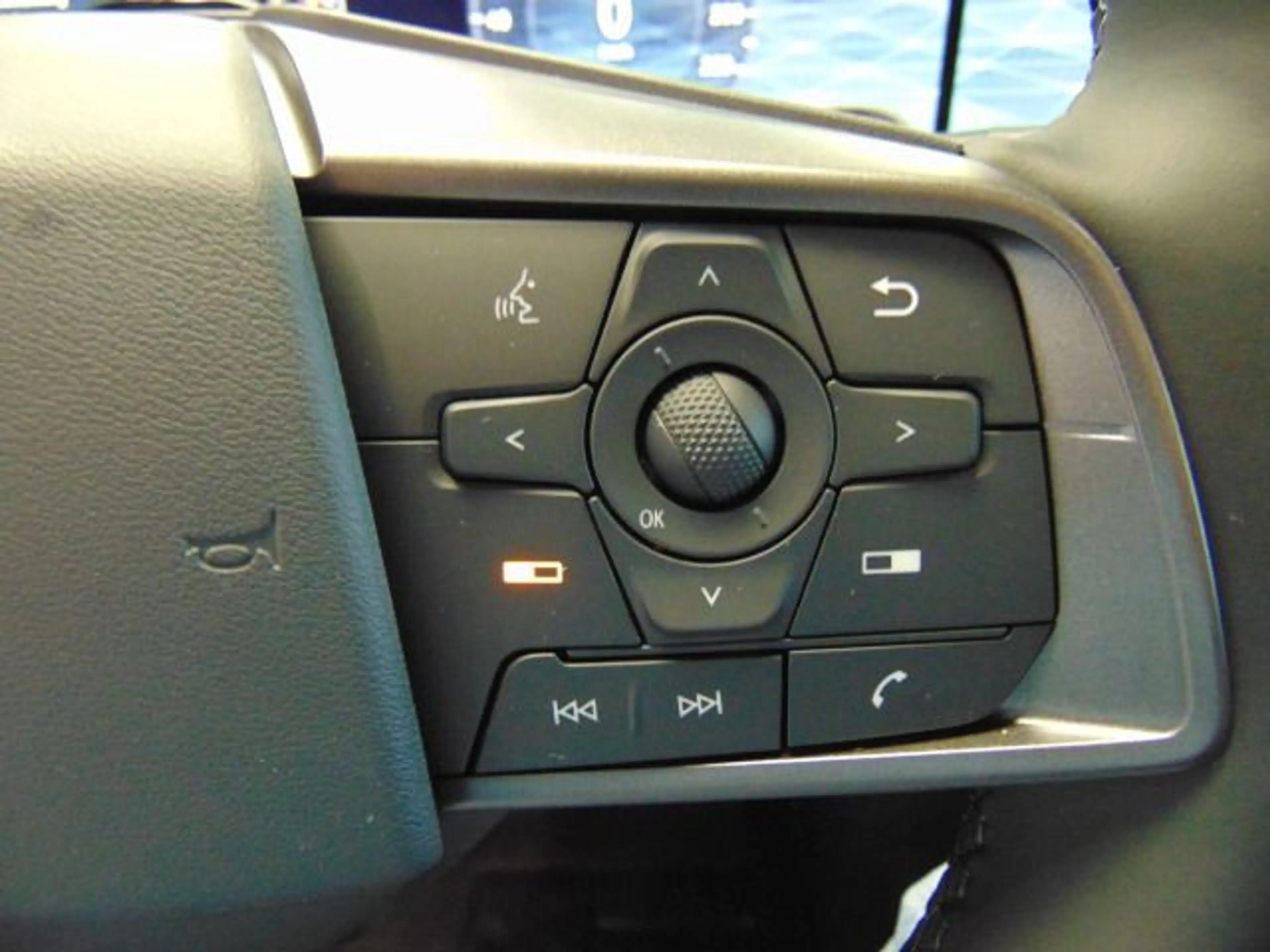 Nissan Leaf Der neue Leaf 160 kW Evolve Glasdach — photo 13