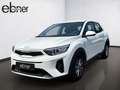 Kia Stonic 1.2 Edition 7 | Apple-Carplay | Klima | A Bianco - thumbnail 2