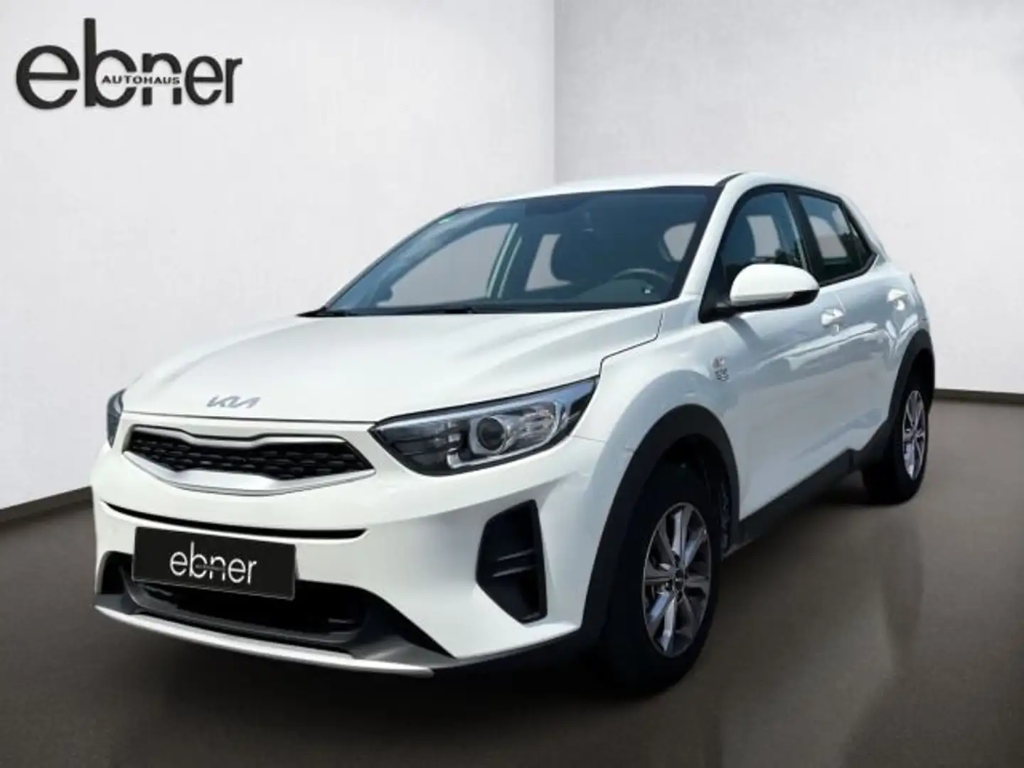 Kia Stonic 1.2 Edition 7 | Apple-Carplay | Klima | A Weiß - 2