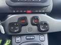 Fiat Panda 1.0 Hybrid 70cv City Life 5 posti - Prezzo REALE Blanc - thumbnail 13