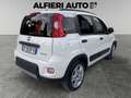 Fiat Panda 1.0 Hybrid 70cv City Life 5 posti - Prezzo REALE Blanc - thumbnail 6