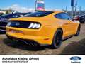 Ford Mustang GT Fastback 5.0 V8 MagneRide Premium Paket 2 Orange - thumbnail 8