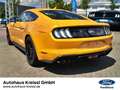 Ford Mustang GT Fastback 5.0 V8 MagneRide Premium Paket 2 Orange - thumbnail 5