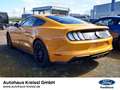 Ford Mustang GT Fastback 5.0 V8 MagneRide Premium Paket 2 Orange - thumbnail 9