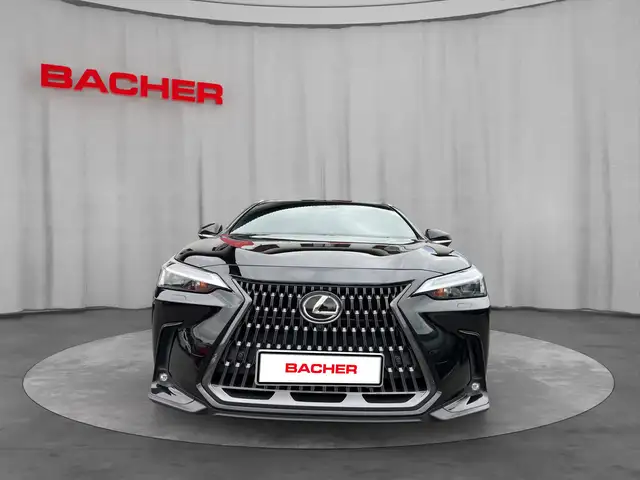 Lexus NX view 8