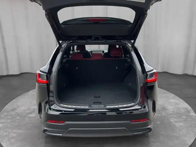 Lexus NX view 15