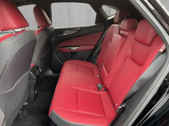 Lexus NX view 14
