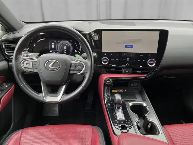 Lexus NX view 10