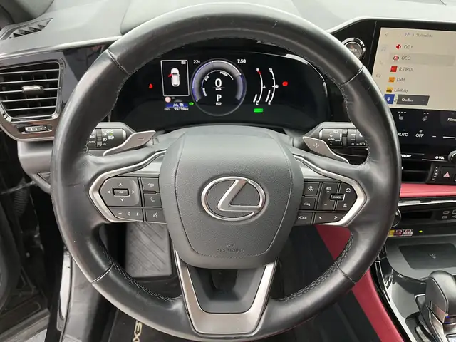 Lexus NX view 12