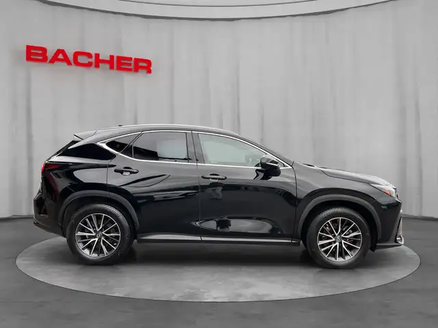 Lexus NX view 6