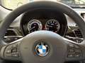 BMW X1 sDrive20i Advantage RFK PDC DAB Shz. Navi Grigio - thumbnail 10