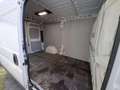 Fiat Fiorino Ducato L2H2 2.3 Multijet 160 E6D 3.5T Blanc - thumbnail 14