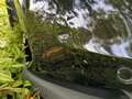 Hyundai SANTA FE Santa Fe Diesel 2.2 CRDi 2WD Premium - thumbnail 19