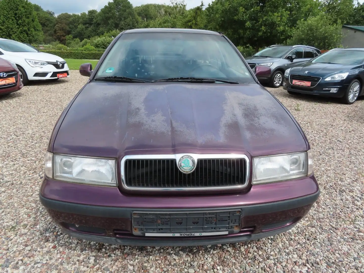 Skoda Octavia 2.0 SLX Violett - 2