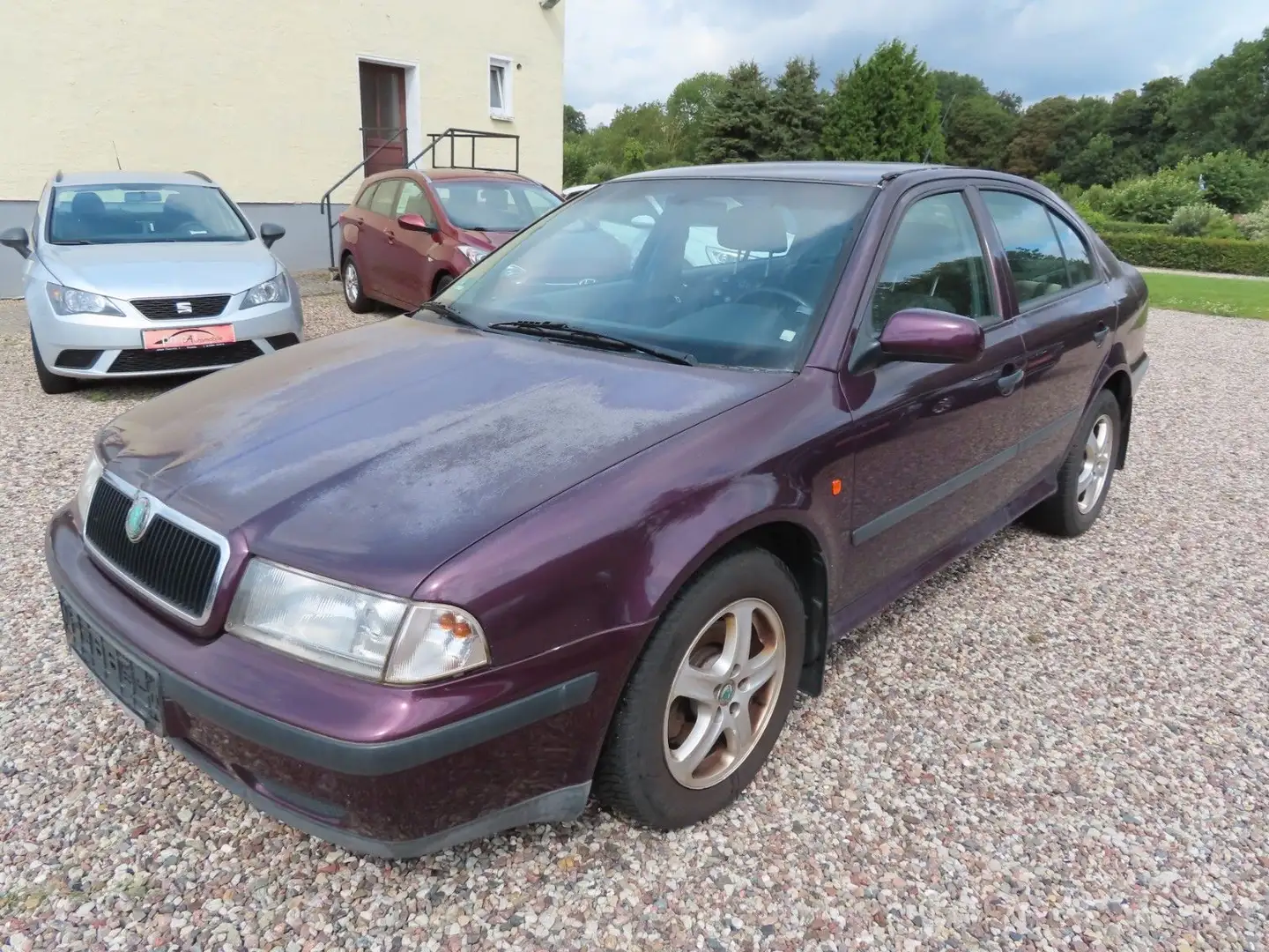 Skoda Octavia 2.0 SLX Violett - 1