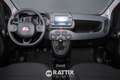 Fiat Panda 1.0 Firefly Hybrid 70CV Cross 5p.ti Rouge - thumbnail 9