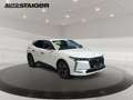 DS Automobiles DS 4 DS4 1.2 PureTech 130 S&S Rivoli SHZ+2xKlima+PDC Weiß - thumbnail 5