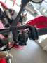 Honda CRF 250 Roşu - thumbnail 9