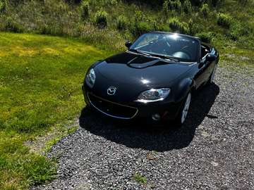 GT
