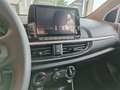 Kia Picanto 1.0 12V 5 porte Urban - km ZERO Verde - thumbnail 10