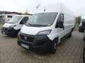 Fiat Ducato Maxi 160 L5H3 Überhang Tüv Kamera Weiß - thumbnail 1