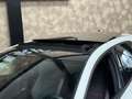 Volkswagen Golf GTI 2.0 TSI Clubsport 45 Jahre Edition | Akra | Pano | Wit - thumbnail 6