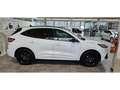 Ford Kuga III ST-Line X BLACK PACKAGE % Wit - thumbnail 7