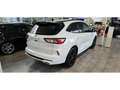 Ford Kuga III ST-Line X BLACK PACKAGE % Wit - thumbnail 5