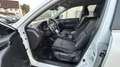 Nissan X-Trail 4x4 Weiß - thumbnail 2
