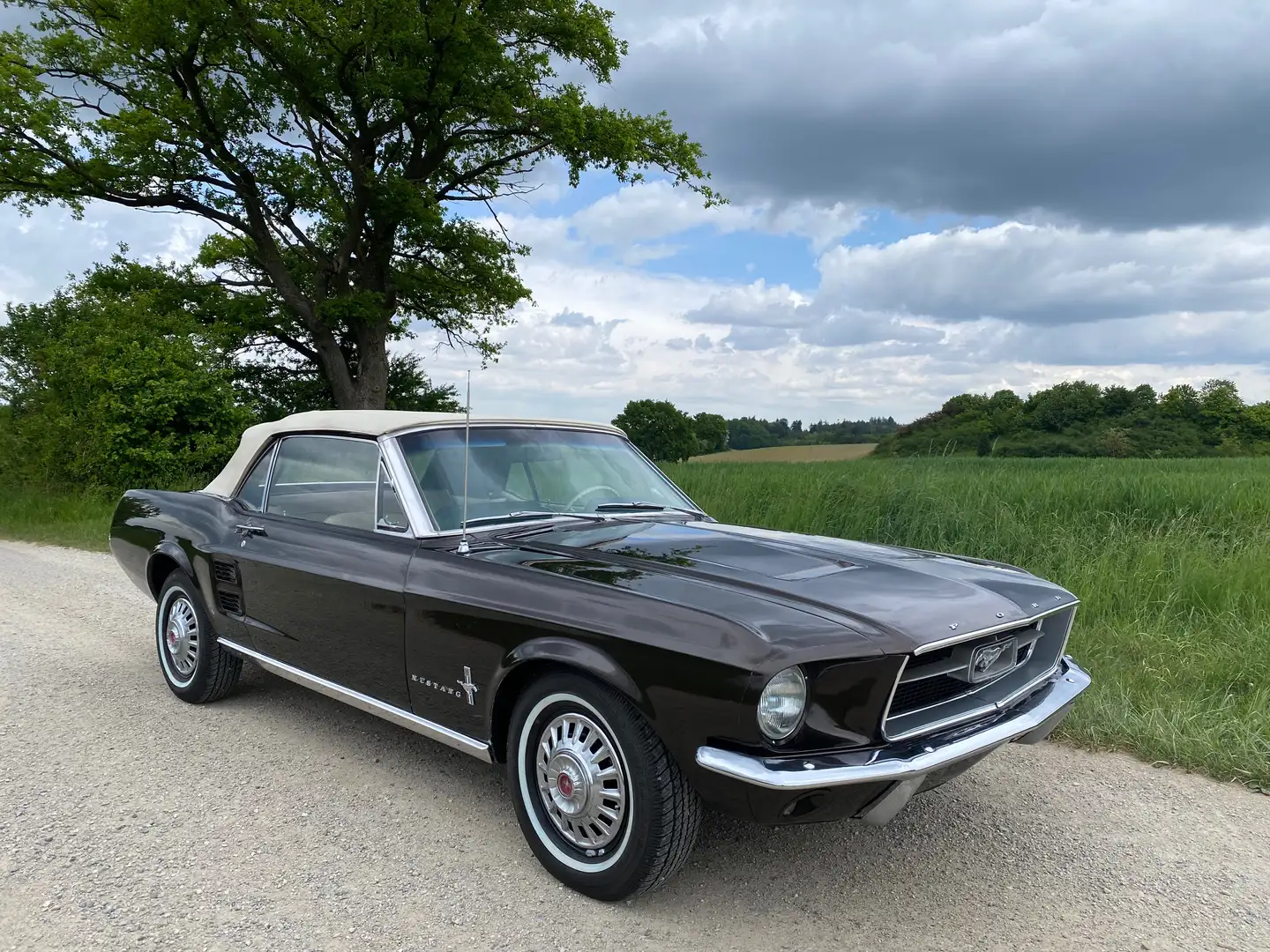 Ford Mustang V8 Cabrio, Automatik, TÜV & H Brun - 2