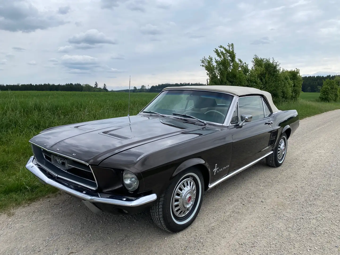 Ford Mustang V8 Cabrio, Automatik, TÜV & H Brun - 1