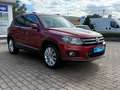 Volkswagen Tiguan Life BMT Rot - thumbnail 8