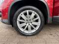 Volkswagen Tiguan Life BMT Rot - thumbnail 17