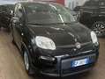 Fiat Panda Panda III 2021 1.0 firefly hybrid s Nero - thumbnail 1