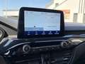 Ford Kuga 2,0 EcoBlue Hybrid ST-Line X 110kW / 150PS 6-Ga... Grau - thumbnail 18