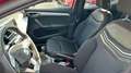 SEAT Ibiza 1.0 TSI S&S FR XS Edition 110 Rojo - thumbnail 13