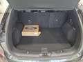 Ford Kuga Plug-In Hybrid ST-Line X Sportpaket Bluetooth Gris - thumbnail 13