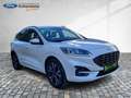 Ford Kuga PHEV ST-Line X Navi Kamera Voll-LED Sitzh. Weiß - thumbnail 22