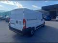 Fiat Ducato 33 2.2 Mjt 140CV PM-TN Furgone Bianco - thumbnail 6