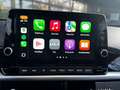 Kia Picanto Picanto 1.0 DPi Dyn.PlusLine Zwart - thumbnail 24