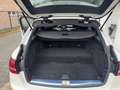 Mercedes-Benz C 300 C 300 de  FULL FULL OPTION AMG Blanc - thumbnail 10