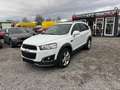 Chevrolet Captiva 2.2 D LTZ 4WD Klima!Sitzheizung Hinten!PDC!EURO 5! Bianco - thumbnail 6