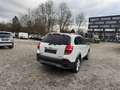 Chevrolet Captiva 2.2 D LTZ 4WD Klima!Sitzheizung Hinten!PDC!EURO 5! Bianco - thumbnail 11