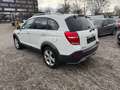 Chevrolet Captiva 2.2 D LTZ 4WD Klima!Sitzheizung Hinten!PDC!EURO 5! Bianco - thumbnail 15