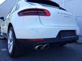 Porsche Macan S Diesel+Automatik+Alcantara+Top Zustand.. Blanco - thumbnail 9