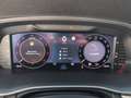 Skoda Octavia Selection TDI DSG Grau - thumbnail 16