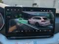 Skoda Octavia Selection TDI DSG Grau - thumbnail 20