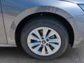 Skoda Octavia Selection TDI DSG Grau - thumbnail 9