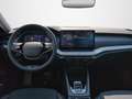 Skoda Octavia Selection TDI DSG Grau - thumbnail 11